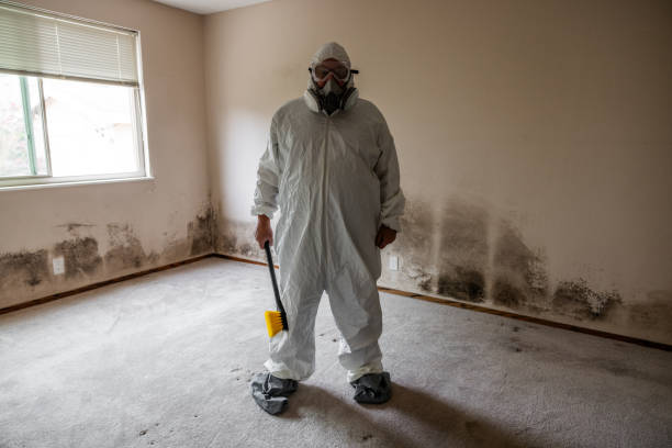 Best Residential Mold Removal  in Monrovia, CA